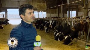 Bogdan Pantazi ferma vaci de lapte