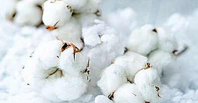 E GRAV! Dacă nu ai apucat să-ți iei haine groase, grăbește-te! 9 E GRAV! Dacă nu ai apucat să-ți iei haine groase, grăbește-te! haine