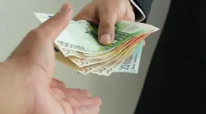 fonduri europene Ministerul Agriculturii legumicultori subvențiile APIA microgranturi mită micii fermieri guvernanti subvenția apia la hectar, sprijin schema de ajutor, vanatorii de subventii