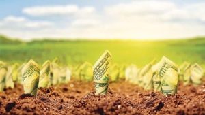 Nextcelerator - The Digital Agriculture Hub 