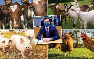 bunăstarea animalelor