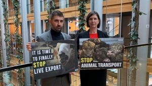 Gabriel Păun - transportul de animale vii