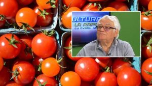 Prof. Dr. Victor Lăcătuș