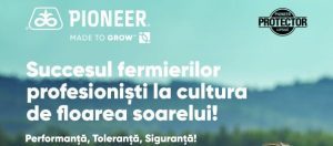 pioneer