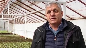 costel vanatoru