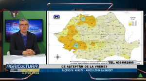 meteo