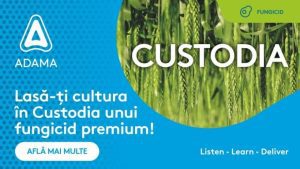custodia