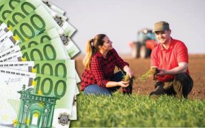 plățile directe în sectorul vegetal, tinerii fermieri