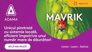 mavrik