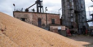 exporturile de cereale din Ucraina