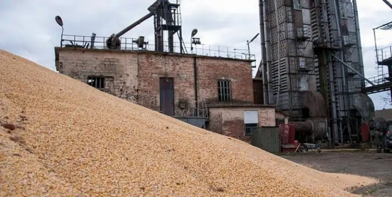 exporturile de cereale din Ucraina