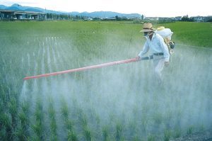 Fermierii puși la zid! România trebuie să reducă cu 35% consumul de pesticide! Comunicate pesticide