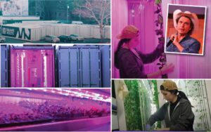 agricultura la container