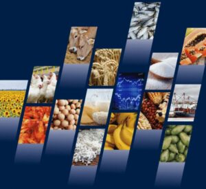 FAO: Prețurile alimentelor au scăzut și în iulie. Cum se explică ? Advertorial pesticide