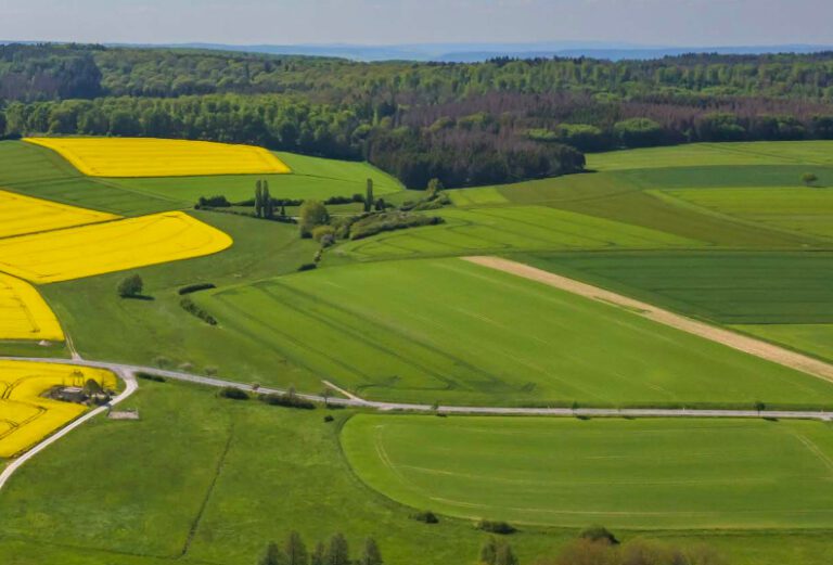 teren agricol