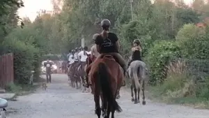 A făcut parte din istoria agriculturii și mai are încă multe de făcut 1 A făcut parte din istoria agriculturii și mai are încă multe de făcut A făcut parte din istoria agriculturii și mai are încă multe de făcut Viata la tara istoria agriculturii