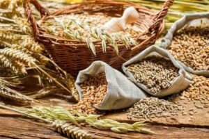 Prețul cerealelor Euronext, sub presiune. Cum sunt cotate grâul și porumbul Actualitate Prețul cerealelor Euronext