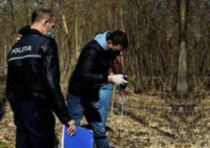 pădure, vânătoare, cioban