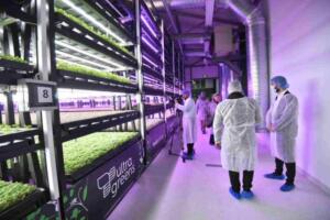 Prima seră verticală din România, la Ploiești. Așa va arăta agricultura viitorului? Comunicate Fundația Patria Credit