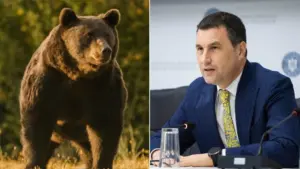 ministrul mediului Tanczos Barna despre ursii de pe Valea Prahovei