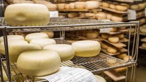 branza de oaie produse lactate