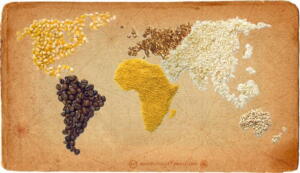 Rapoarte USDA: Optimism pe piața cerealelor estimari previziuni culturi grau porumb