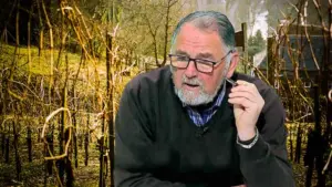 tratamentele de primăvară la vița de vie primul tratament de primavara la vita de vie tratament complet pentru vita de vie tratament pentru vita de vie tratamentele de iarna, tratamentul pentru vita de vie, reteta de tratament pentru vita de vie