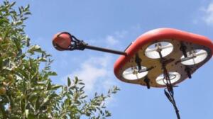 Roboții care culeg fructe, viitoarea "mână de lucru" în agricultură? Actualitate roboții care culeg fructe