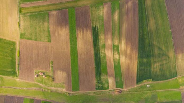 culturi agricole control pe teren agricol arenda legea arendei, micii fermieri, suprafata de teren, subventii APIA, prețul unui hectar de teren agricol