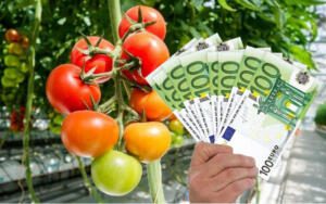 spații protejate fonduri europene legumicultorii ajutor de stat