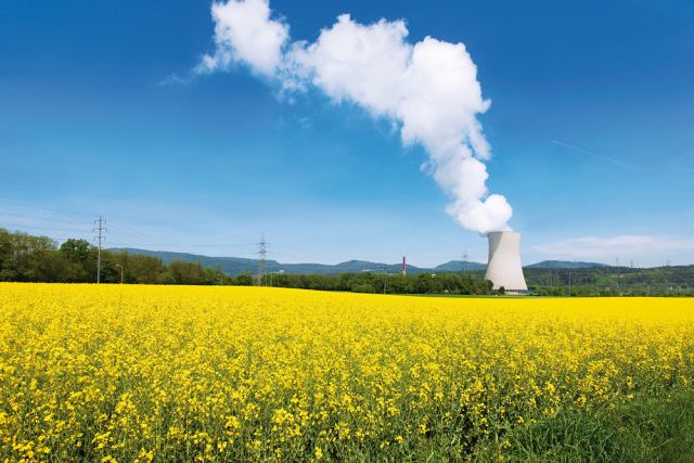Agricultura și energia nucleară. Avantaje și riscuri 8 Agricultura și energia nucleară. Avantaje și riscuri Agricultura și energia nucleară. Avantaje și riscuri Actualitate APPR,Forumul APPR