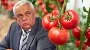 Petre Daea programul tomata producția de legume legumicultori subvenție, substanțe interzise