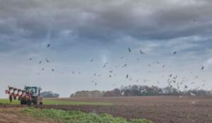 Valeriu Tabără: Problema numărul 1 a solului din România este PH-ul Comunicate Certificatele de CO2, agreena