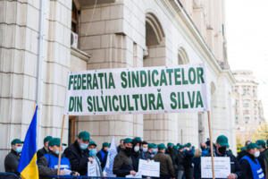 Silvicultorii, protest la Camera Deputaților Actualitate silvicultori