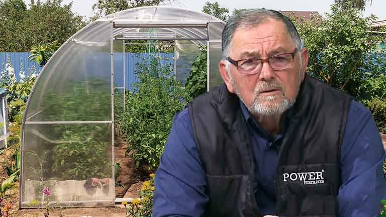 tratamentul care trebuie făcut în solar