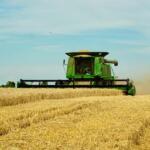 productiile de cereale grau ecologic dan hurduc