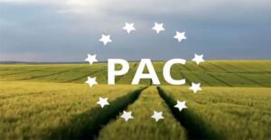 Reforma PAC implementată în 2023 a fost concepută în 2018! Experții europeni arată cu degetul, faliile Advertorial Doloflor și Agrocalcium
