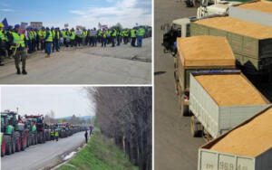 cereale din Ucraina