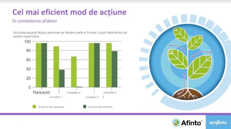 Afidele – insecte mici ce se înmulțesc rapid și provoacă probleme mari 1 Afidele – insecte mici ce se înmulțesc rapid și provoacă probleme mari Afidele – insecte mici ce se înmulțesc rapid și provoacă probleme mari Advertorial afidele