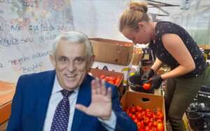 Daea roșii Glodeanu Sărat