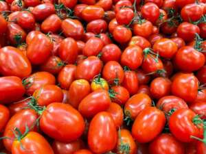 Conțin sau nu tomatele de Buzău substanțe chimice interzise? Rezultatele Corpului De Control Actualitate pasari