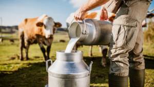 ANAF, prețul laptelui la poarta fermei
