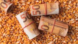 sprijin pentru fermieri pretul porumbului pretul cerealelor fermieri despagubirile de seceta 15 octombrie, portul constanta, subventii