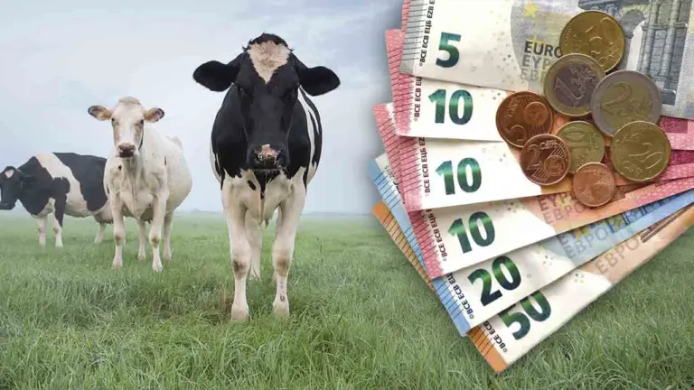 subventia de 73 de euro cap de vaca, APIA, ANT, crescătorii de bovine, ANTZ 100 euro, vaci, judecata, sprijin achizitie juninci, plăți APIA, pășunat extensiv