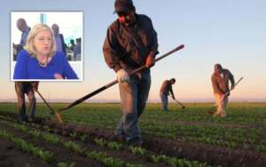 Corina Crețu pensie agricultori