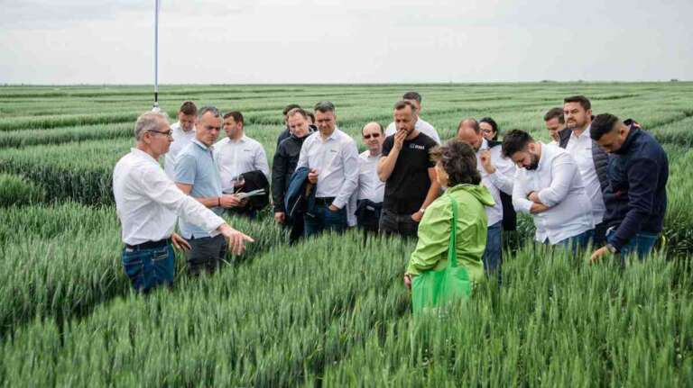 Industria agribusiness-ului
