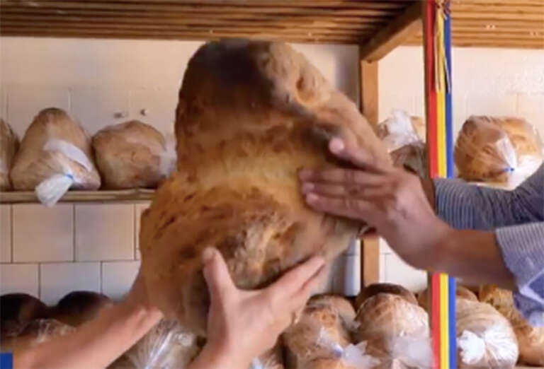 Pita de Pecica