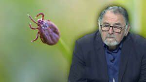 cum scapam de capuse
