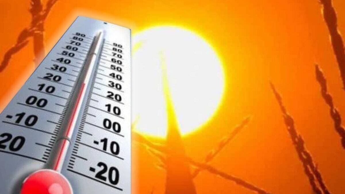 Meteo – România, sub Cod roșu de caniculă! Temperaturi de 41°C! 5 Meteo – România, sub Cod roșu de caniculă! Temperaturi de 41°C! meteo, canicula