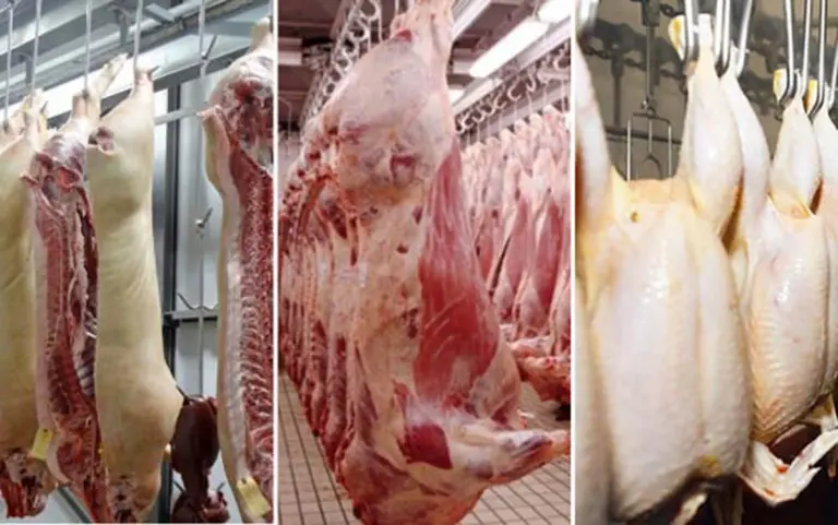 piața de carne, producția de carne
